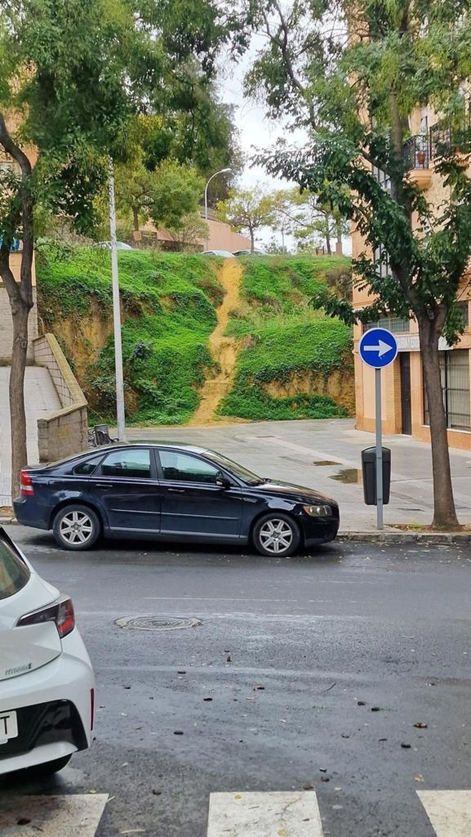 Estado actual en el que se encuentra.