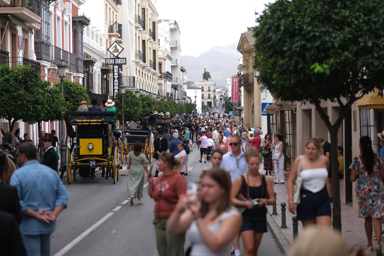 Concurso de Enganches de Ronda, en imágenes