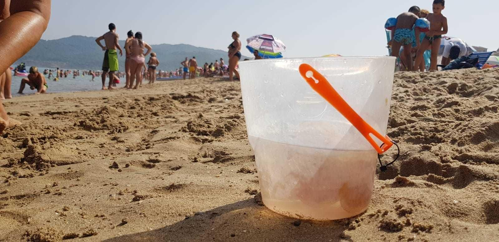 Un cubo con medusas en la playa de Getares