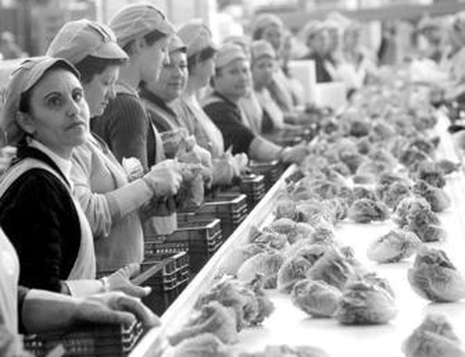 La agroindustria, clave del desarrollo económico de la provincia..