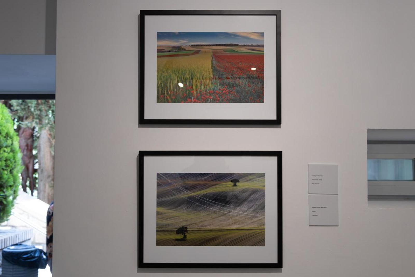 Exposición La Tierra, corazón de la vida, en imágenes