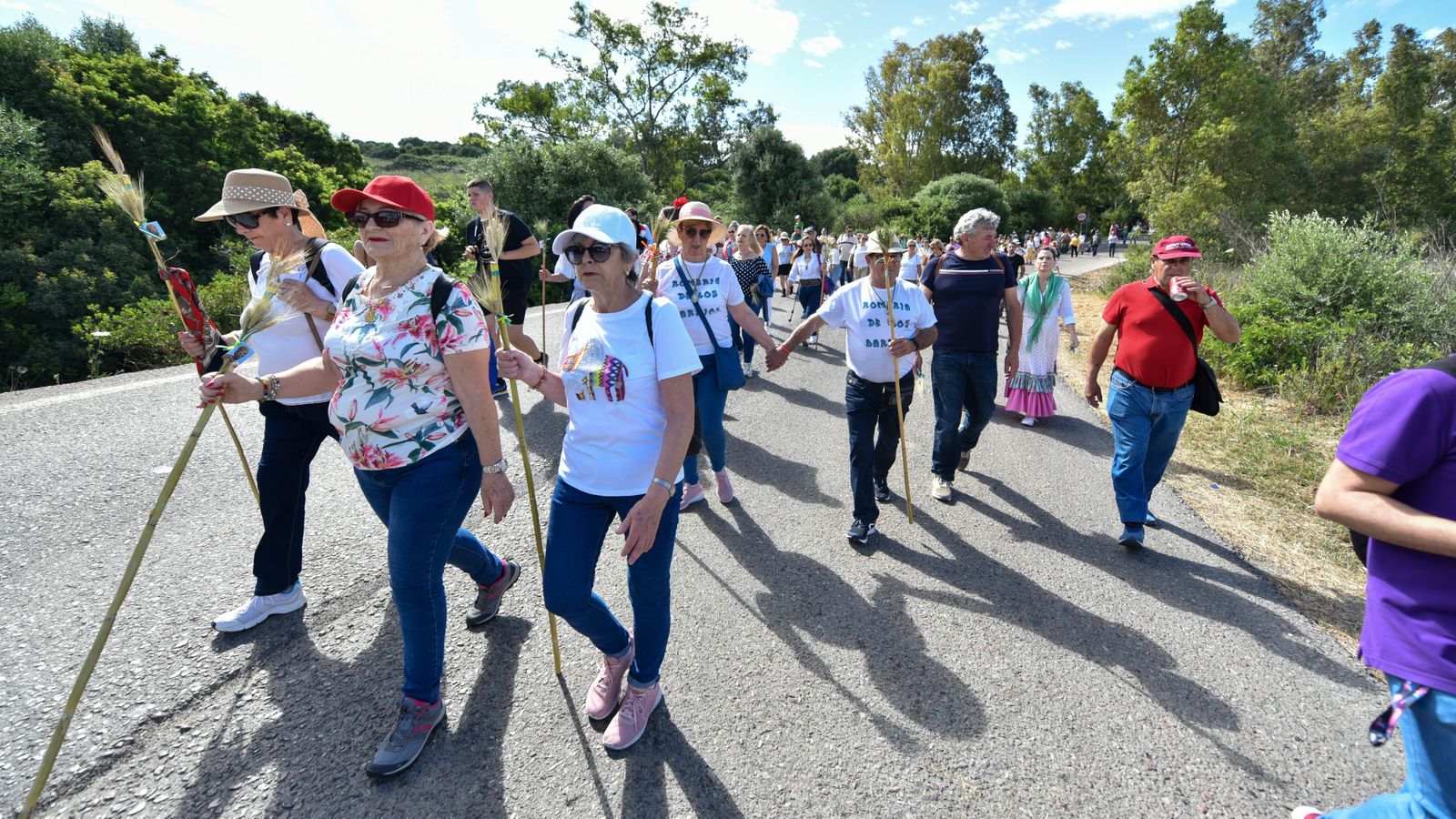 Fotos de la romería de San Isidro Labrador en Los Barrios