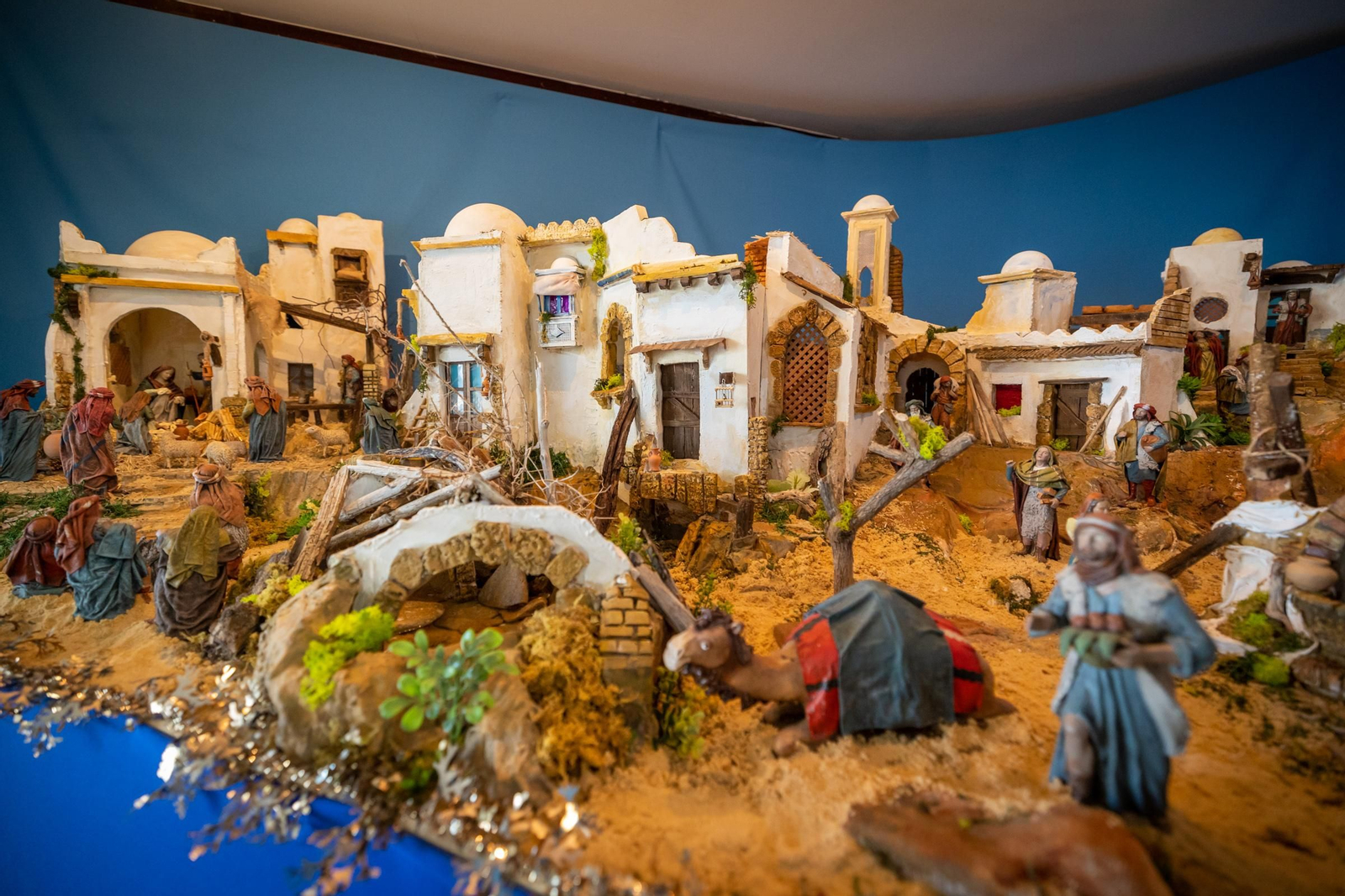 COLEGIO ARGANTONIO Lugar: Colegio Argantonio c/ 24 de Julio Horario: Laborables: 11.00 h. a 13.00 h. Festivos: 11.00  h. a 13.00 h.