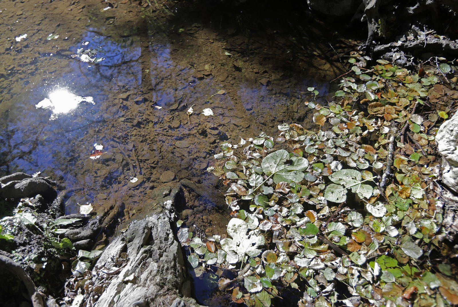 Ruta de Senderismo Charco Malo