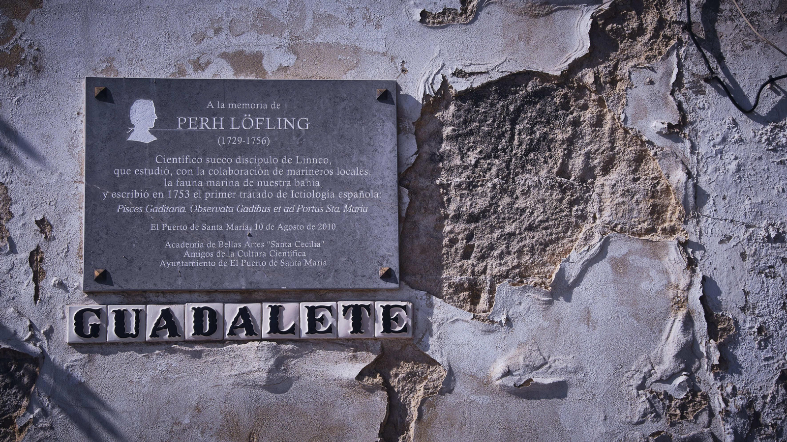 Estado del Hospital de San Juan de Dios.