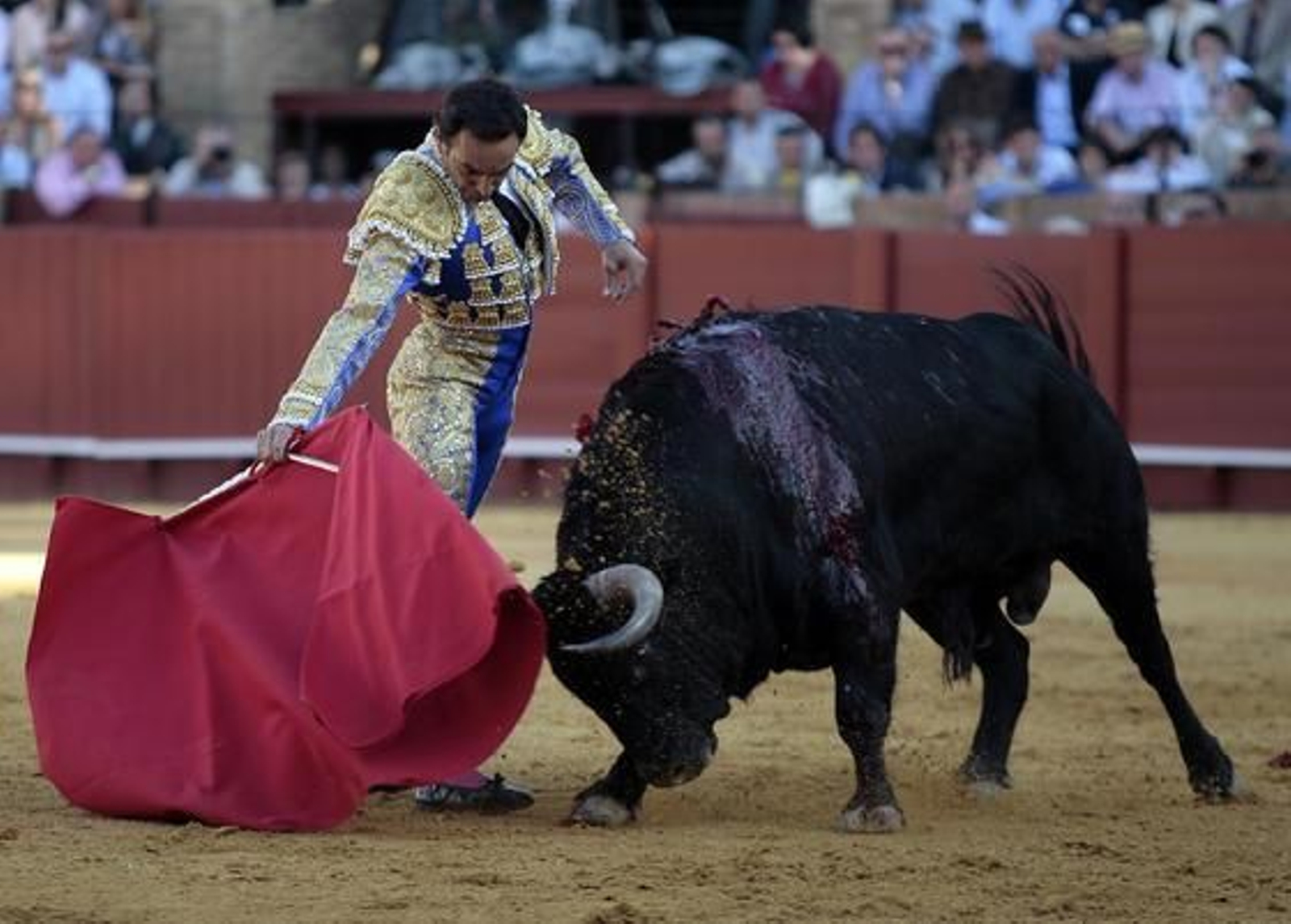 Foto: Juan Carlos Muñoz