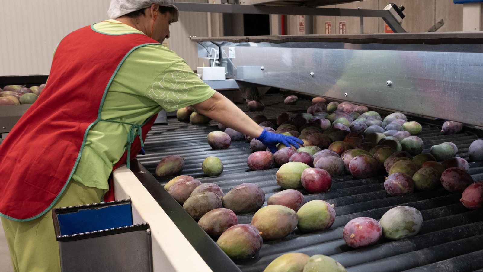 Control manual de calidad previo a ser sometido pasar por un equipo de última tecnología.