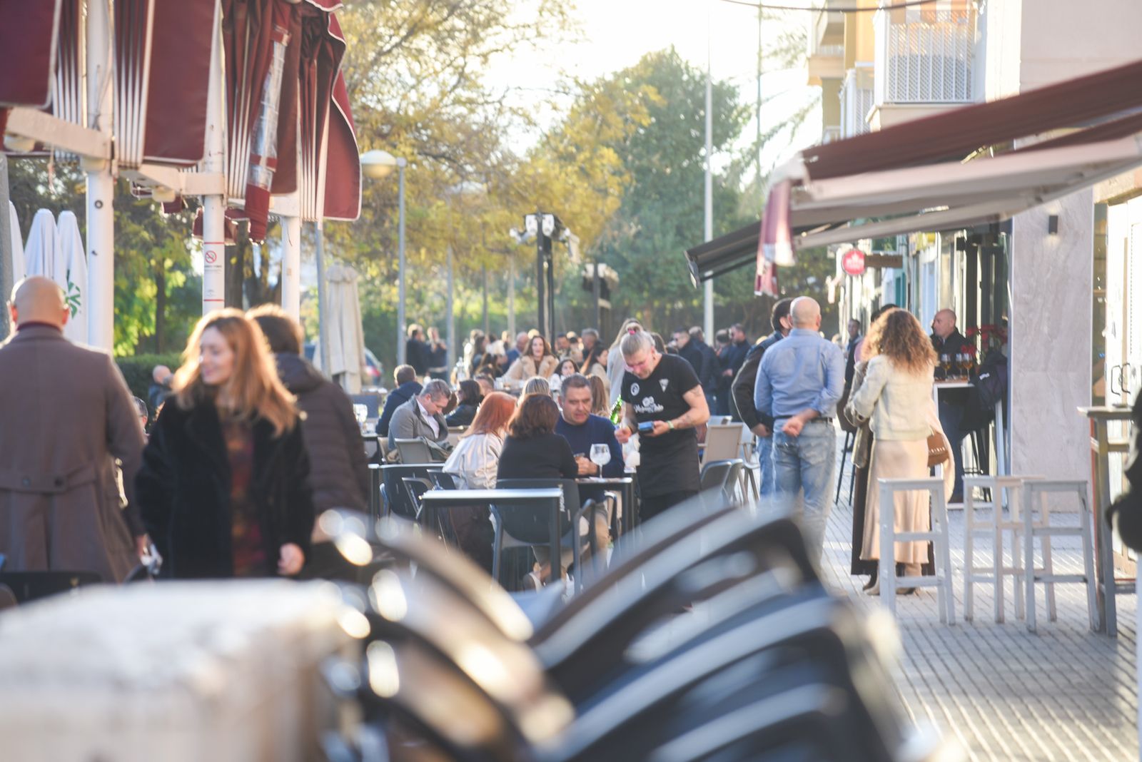 La Tardevieja en Córdoba para despedir 2025, en imágenes