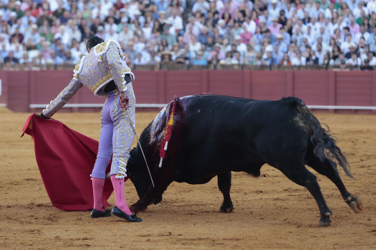 El triunfo de Castella en imágenes
