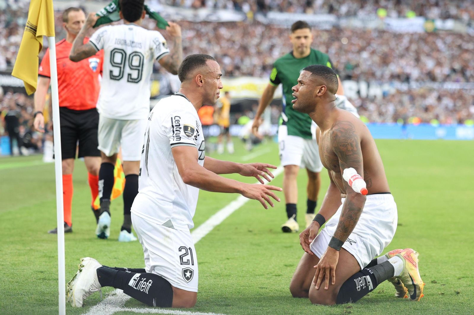Las fotos de una final de la Libertadores histórica; Botafogo, campeón con 10, ante Atlético Mineiro