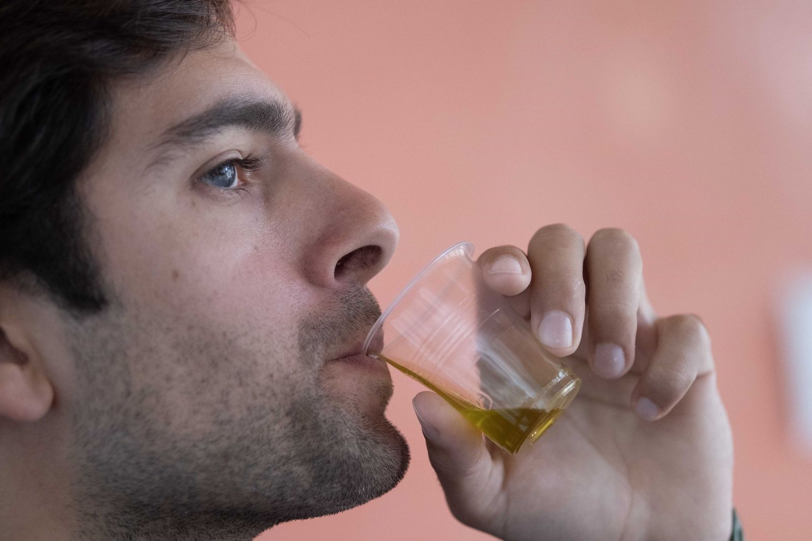 Cata de aceite de oliva.