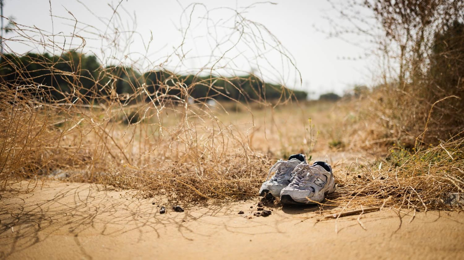 Así está el bosque urbano de La Canaleja en Jerez