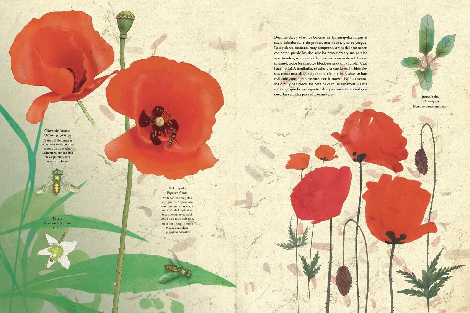 Una de las creaciones de Nicolas Jolivot para 'Viajes por mi jardín'.