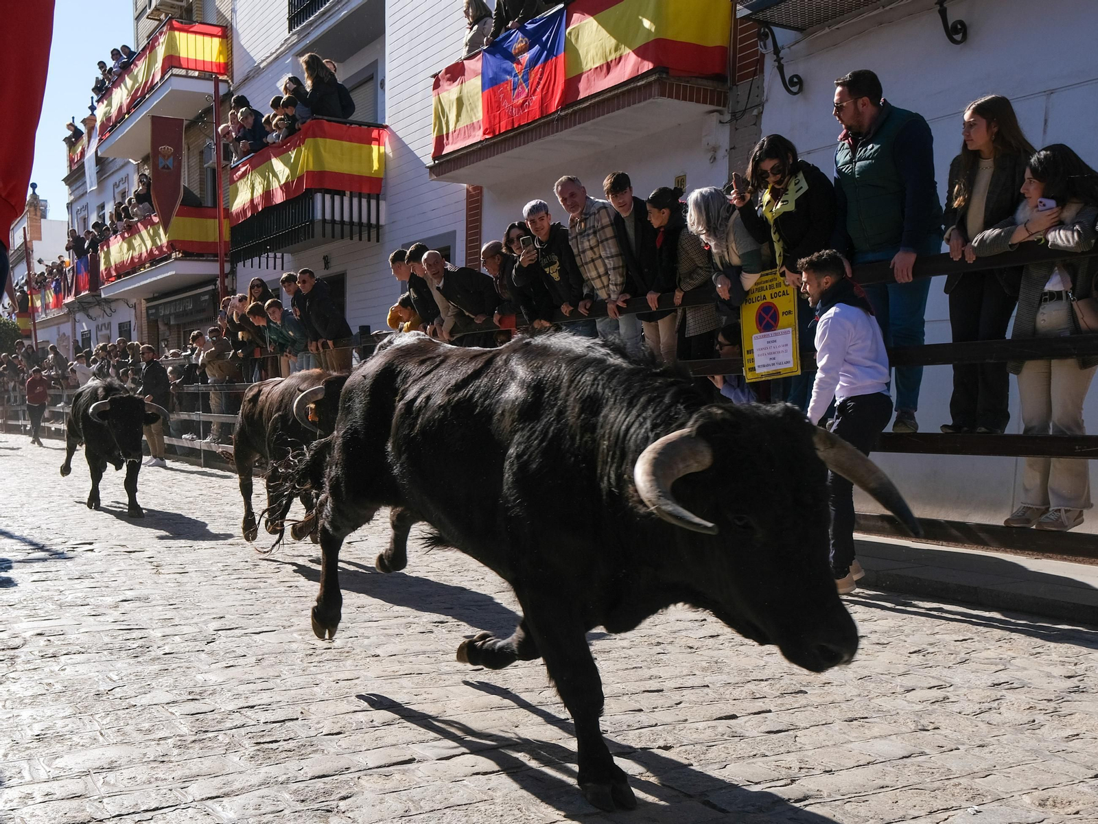 Las imágenes de los festejos de San Sebastian en Puebla del Río