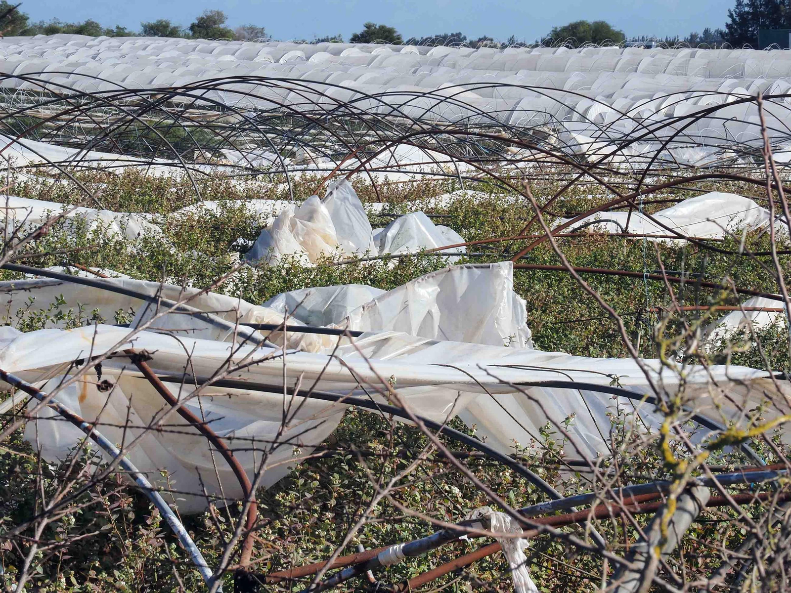 Imágenes de los daños causados por la violenta manga de viento en la provincia de Huelva