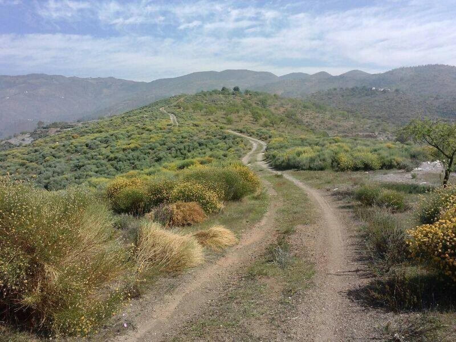 Paraje de El Trebolar en Adra.