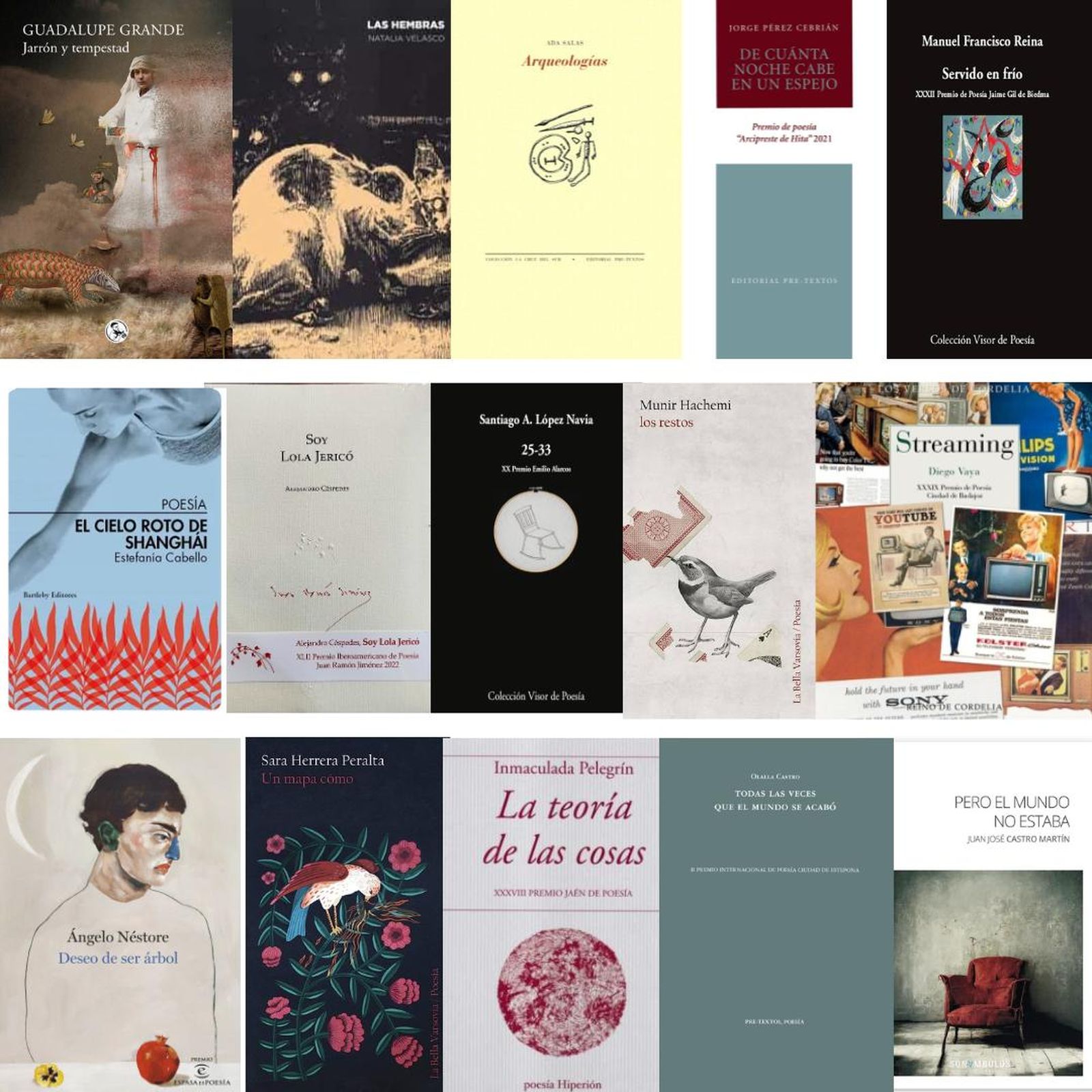 Quince finalistas optan al II Premio de Poesía Ciudad de Churriana.