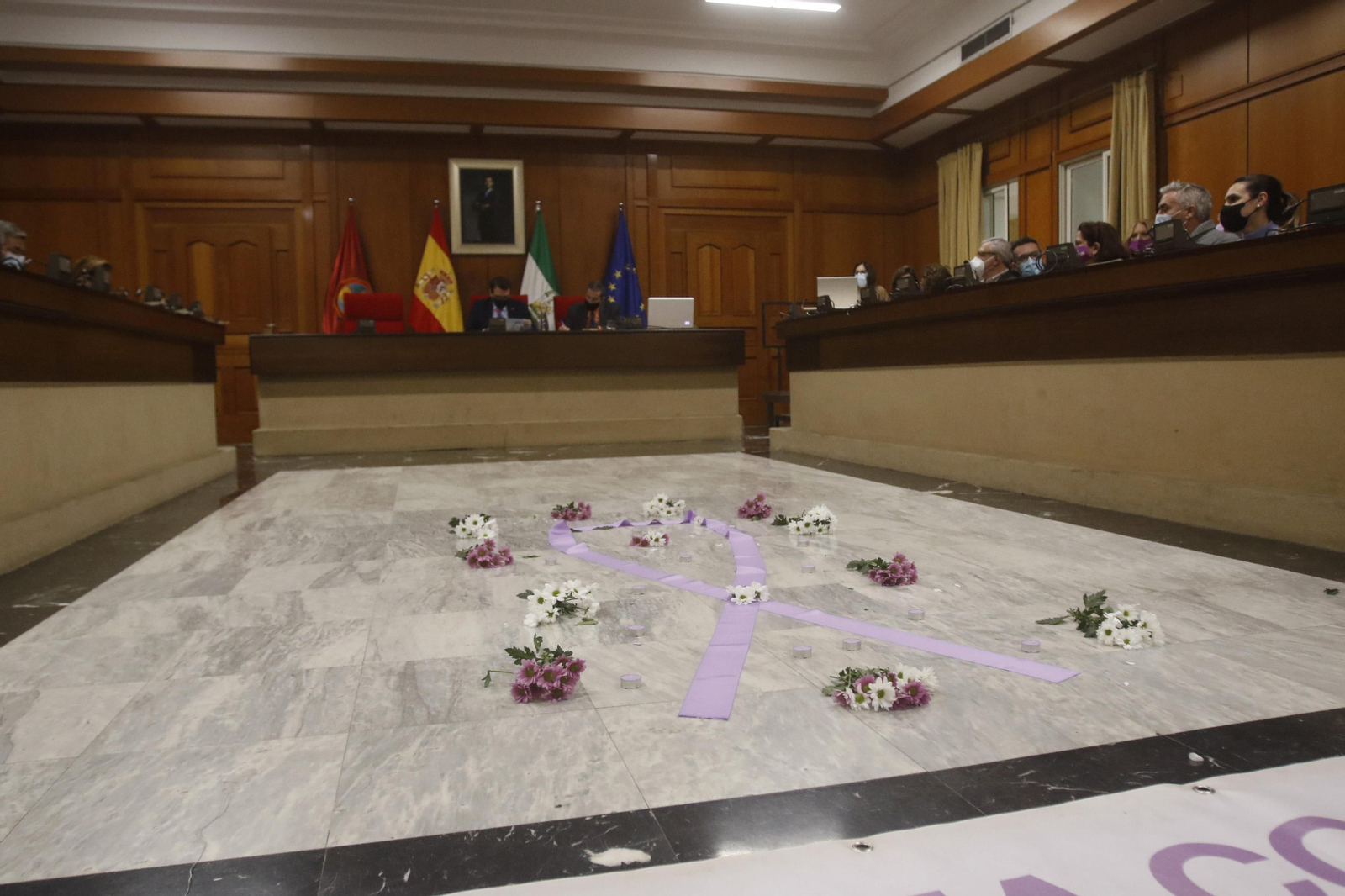 Pleno extraordinario por el Día Internacional de la Eliminación de la Violencia contra la Mujer.