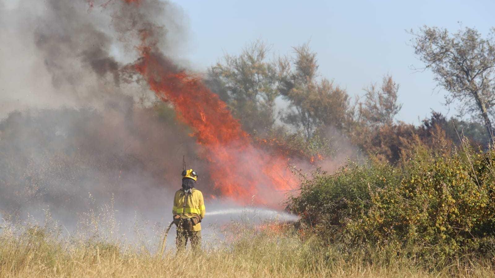 Un efectivo del Infoca lanza agua sobre las llemas.