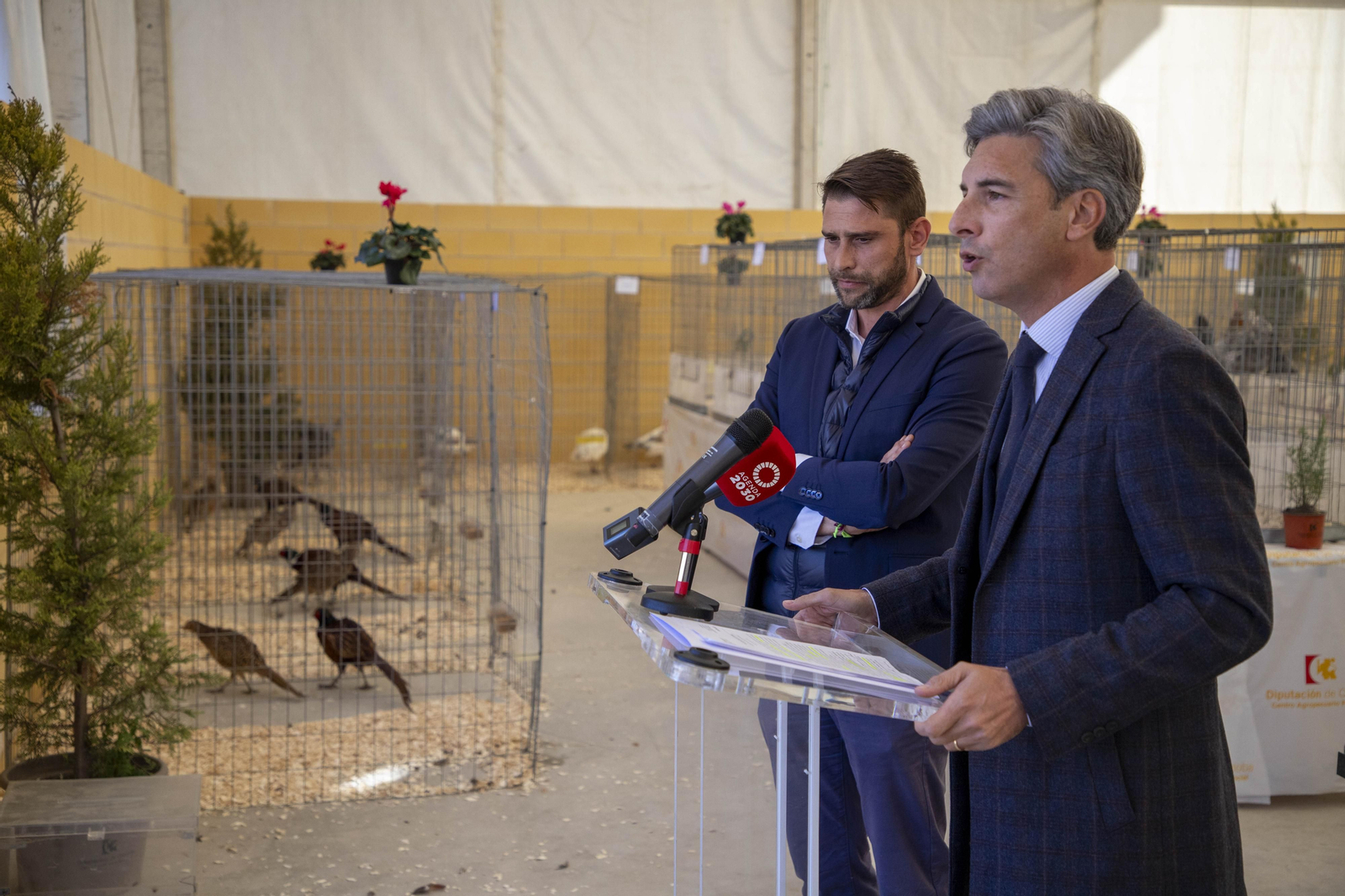 Un paseo en fotografías por Avicor, la Feria Avícola de Córdoba