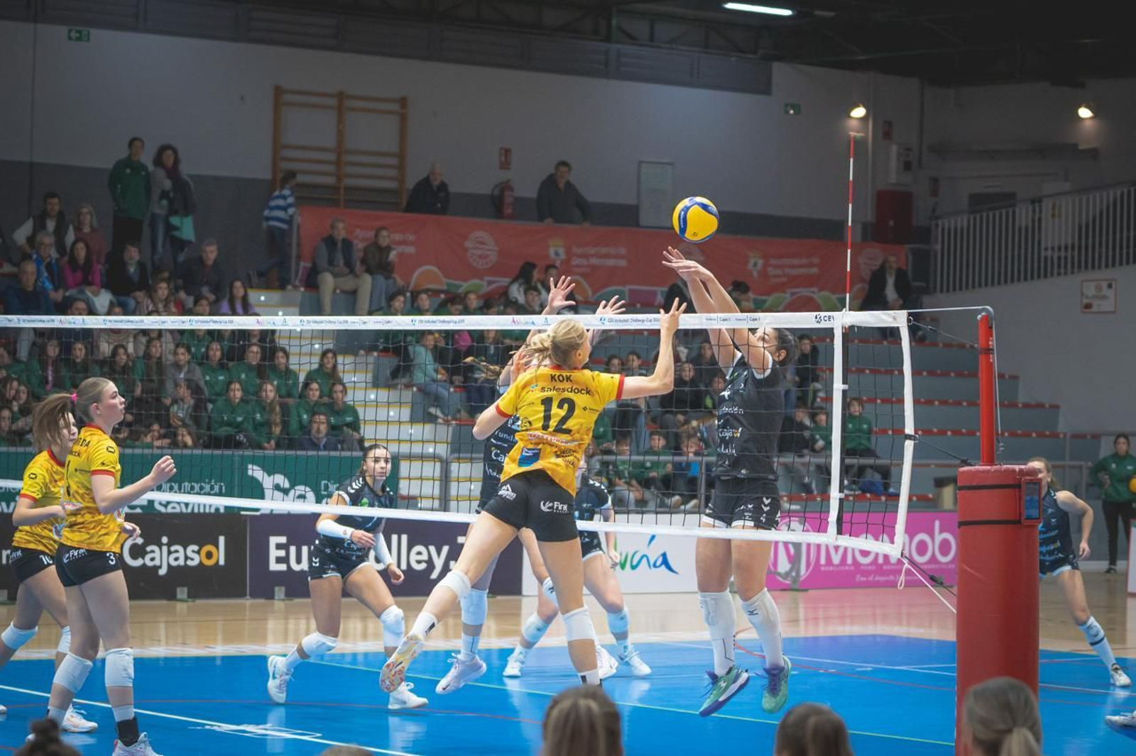 Las fotos del Fundación Cajasol Andalucía-Dynamo Apeldoorn