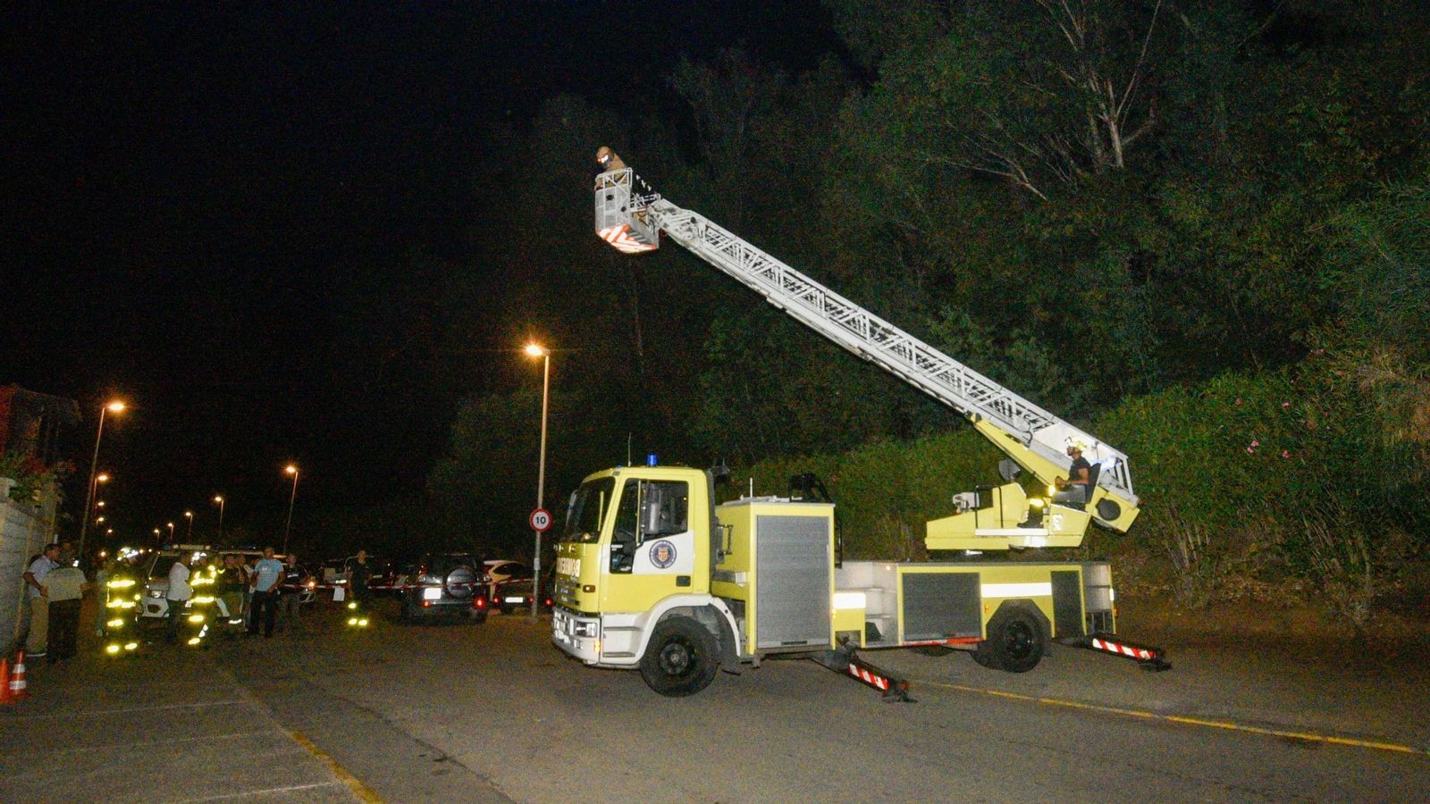 Las fotos de la retirada de un avispero asiático en Los Cortijillos