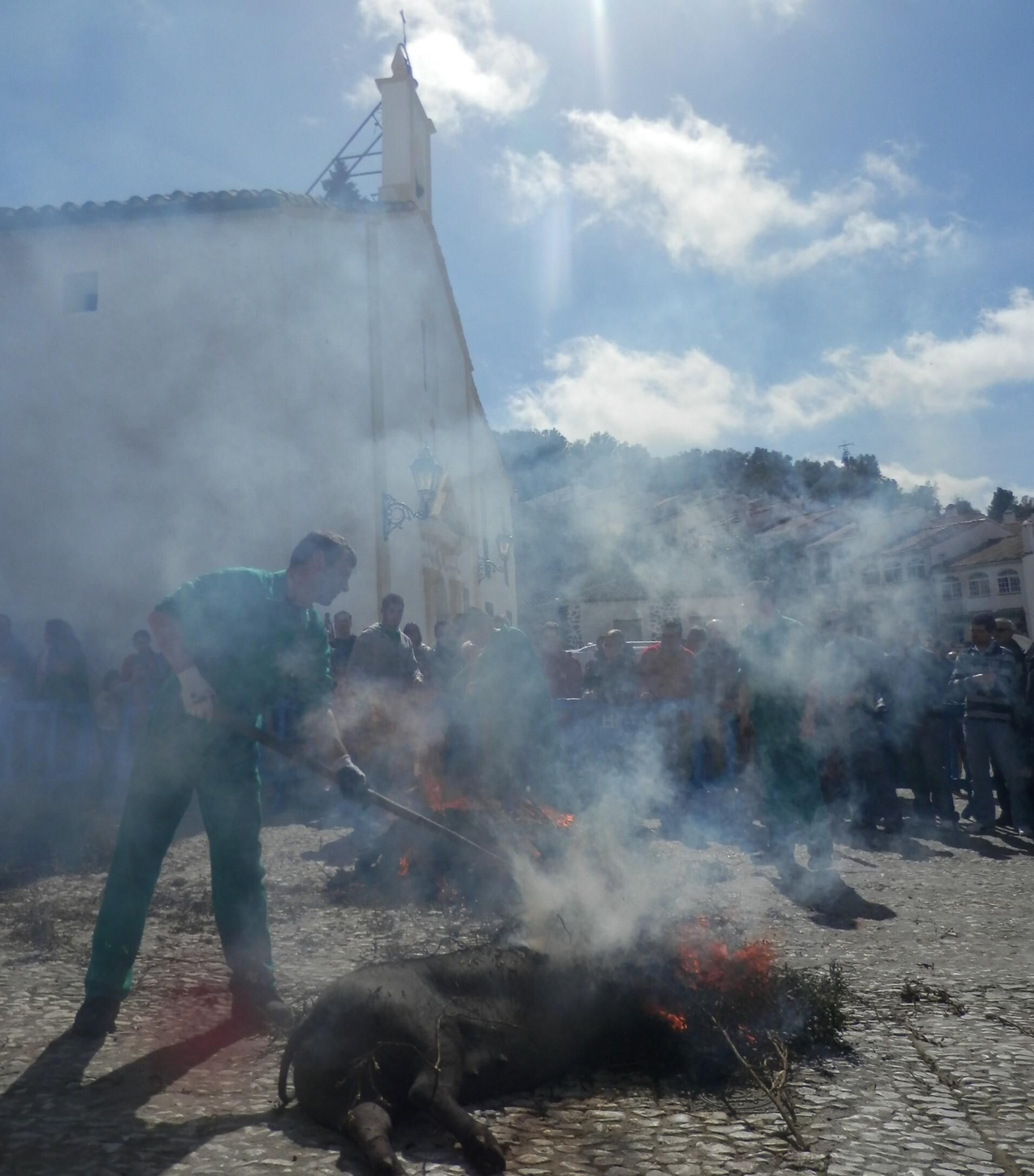 Chamuscado del cerdo en la matanza tradicional de Galaroza.