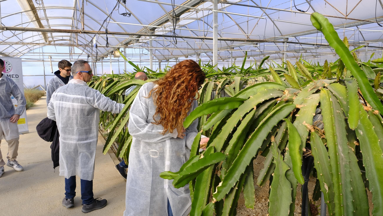 Jornada de puertas abiertas en la Estación Experimental Cajamar Las Palmerillas, en fotos