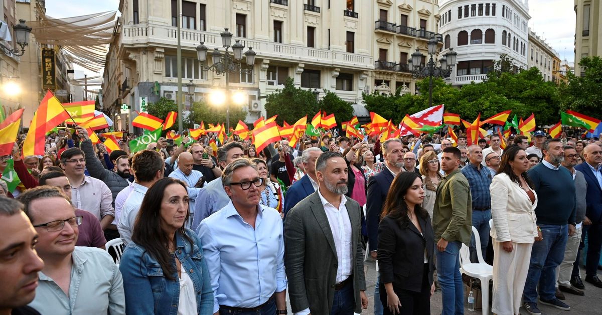 Fotos del mitin de Vox con Santiago Abascal en la Plaza de Las ...