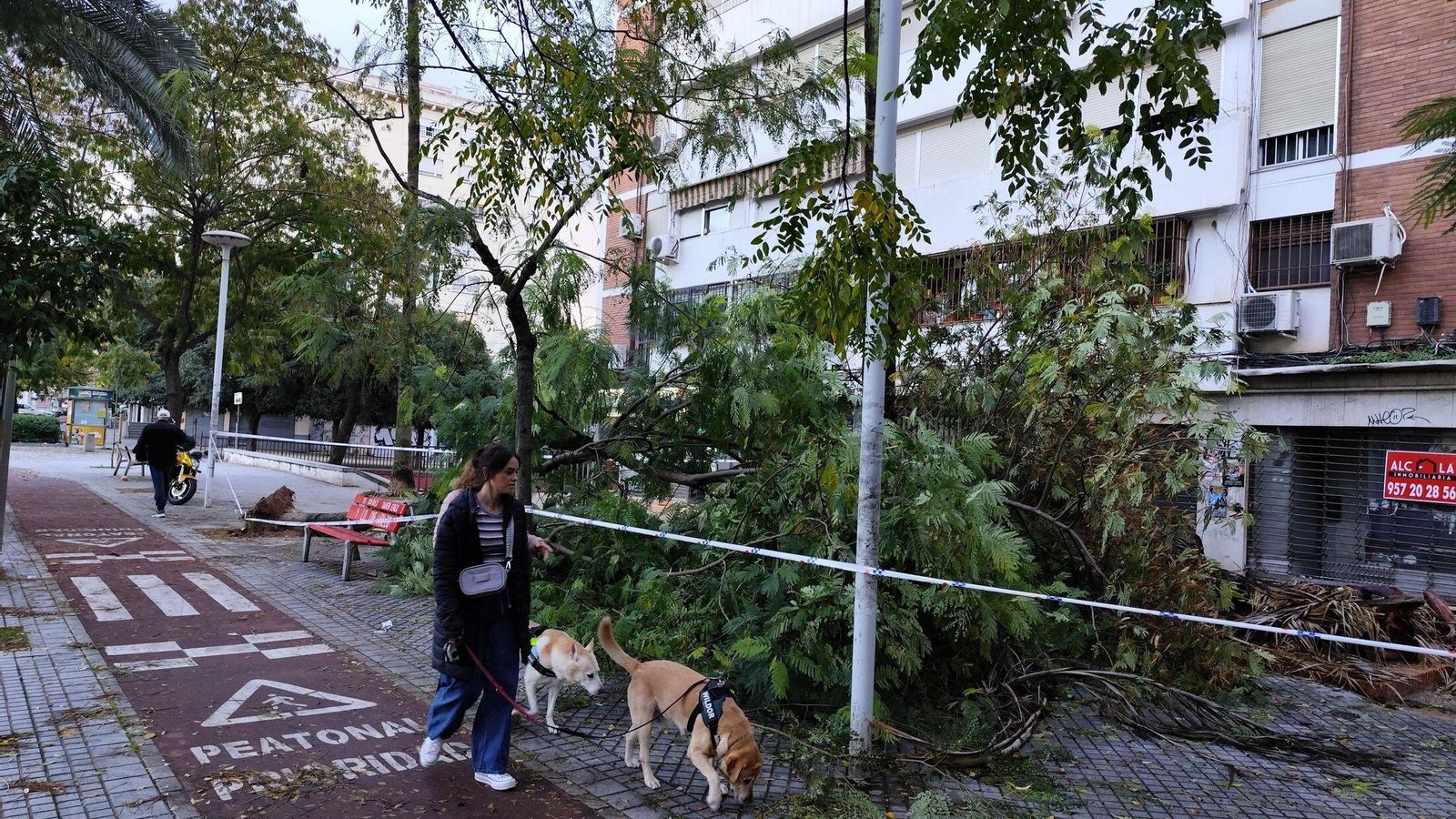 Daños causados por 'Claudia'.