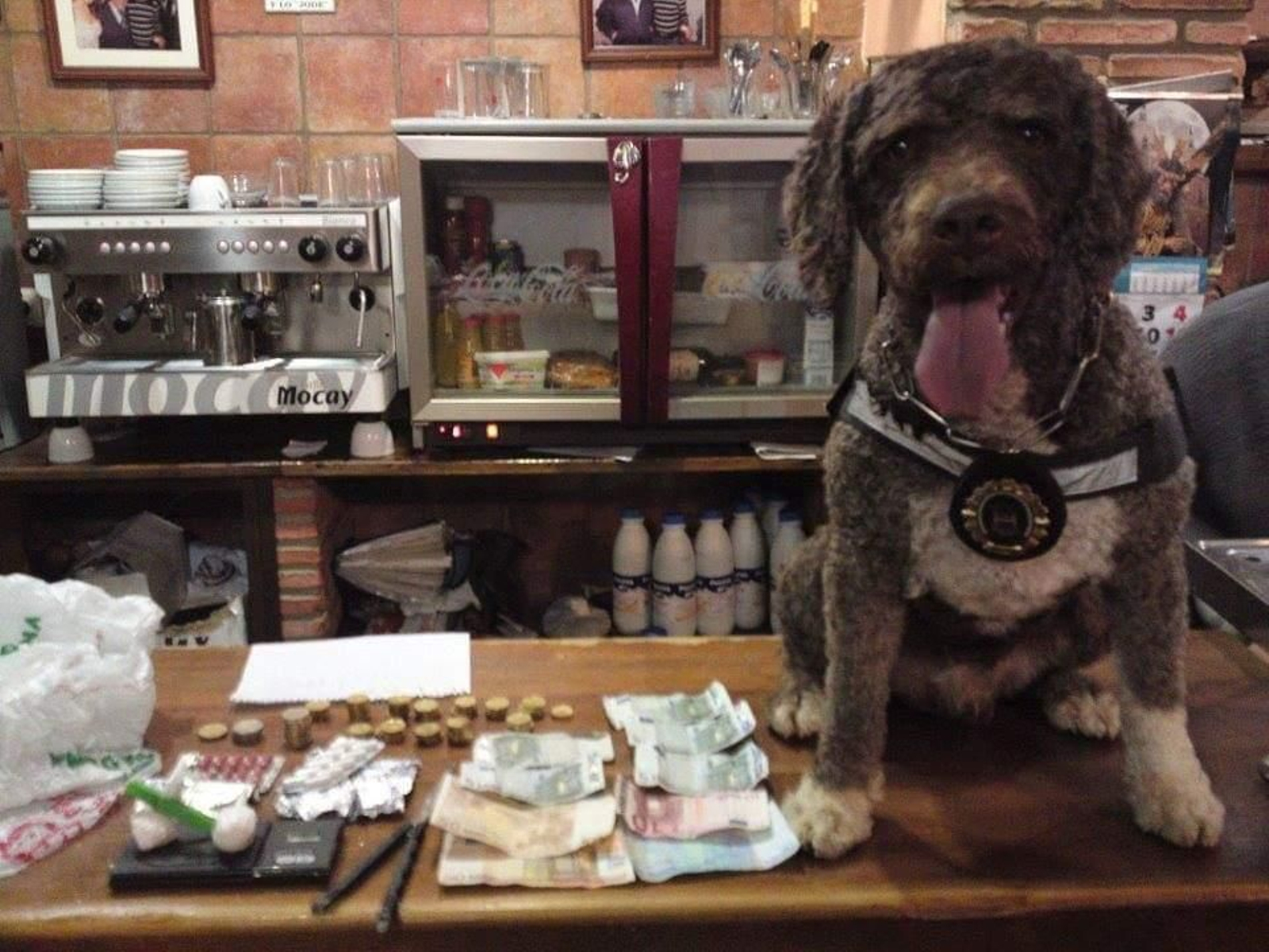 Ron, tras una operación policial en la que jugó un papel decisivo al incautar cocaína escondida en un local.