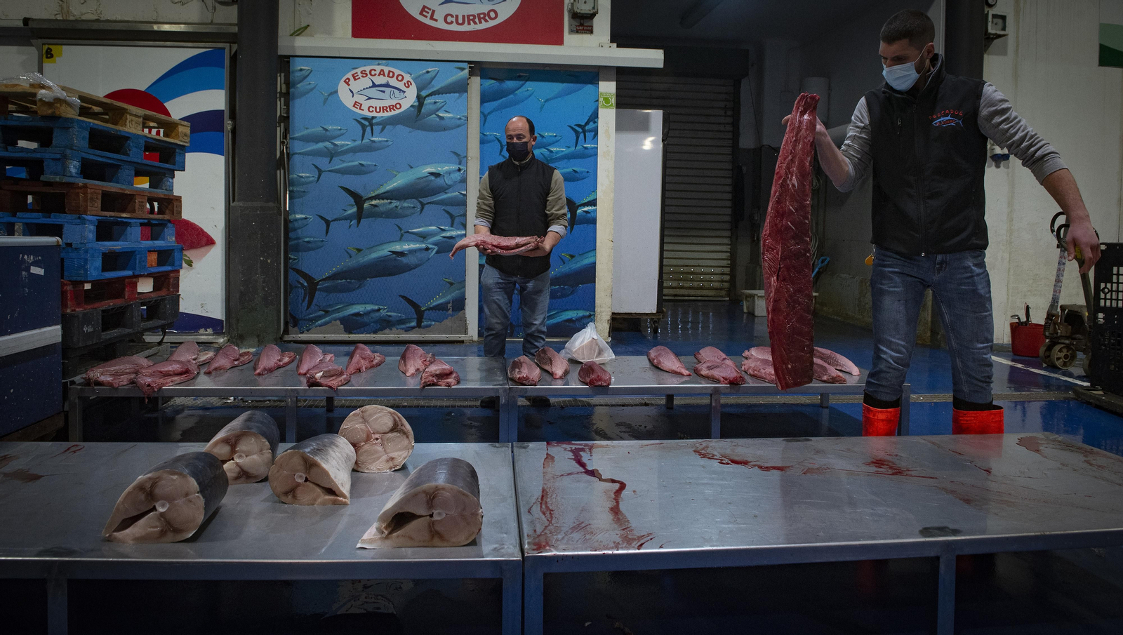 Mercasevilla en imágenes