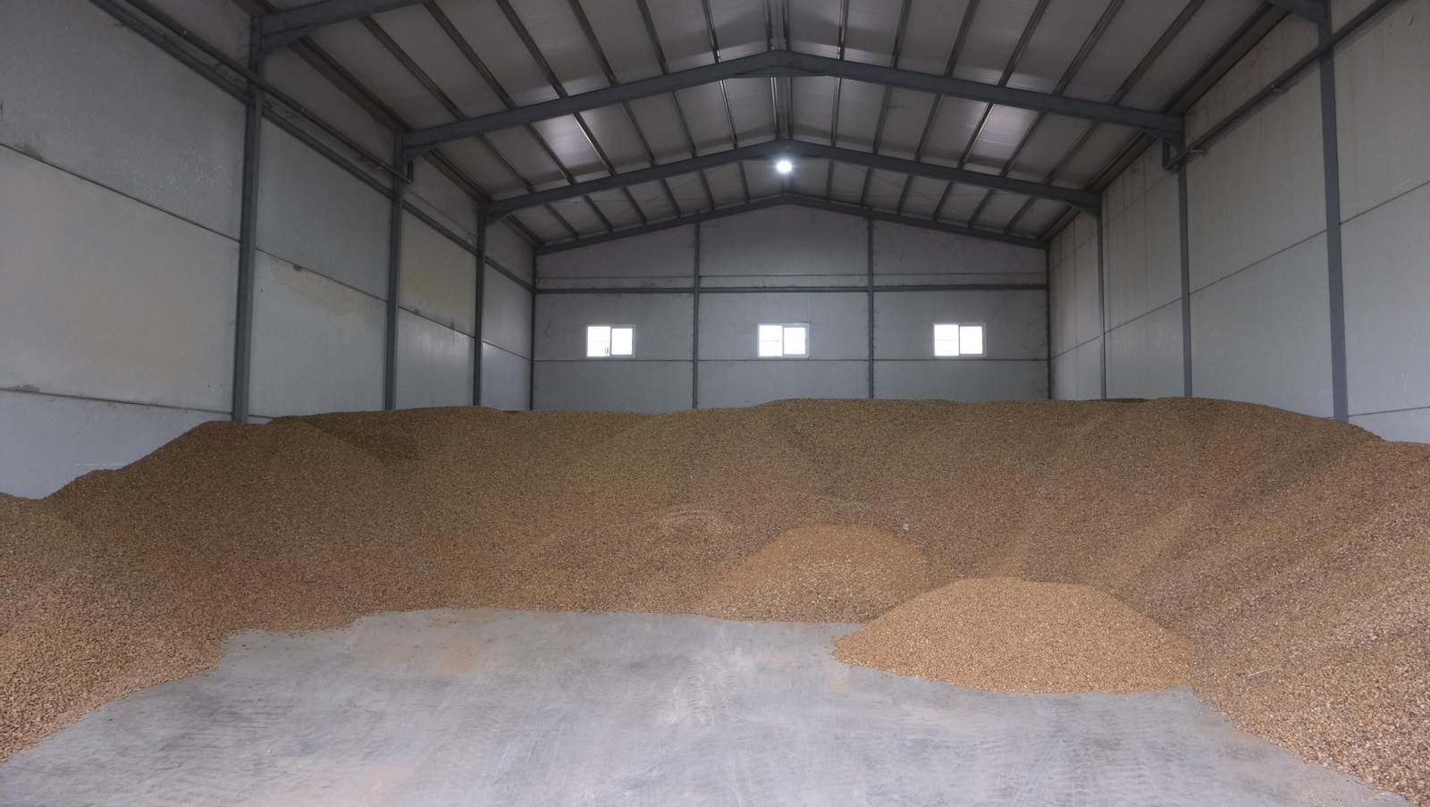 Imágenes de la almendra ecológica de Chirivel