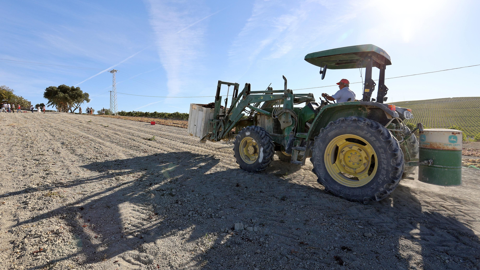 Asoleo de Pedro Ximénez en González Byass