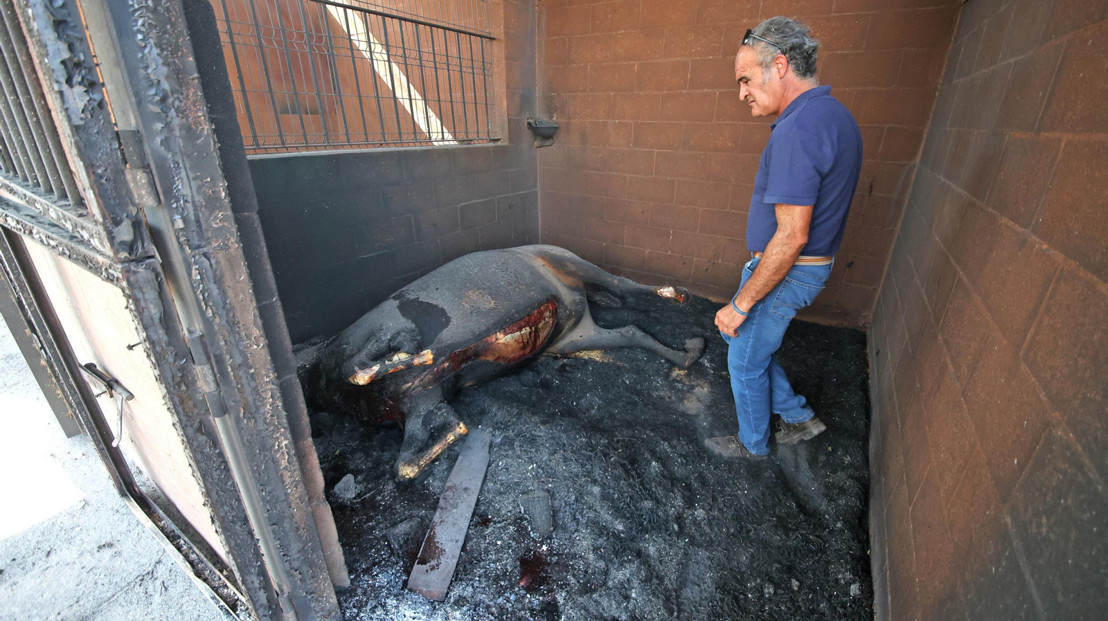Imágenes de las zonas afectadas por el grave incendio en Jerez