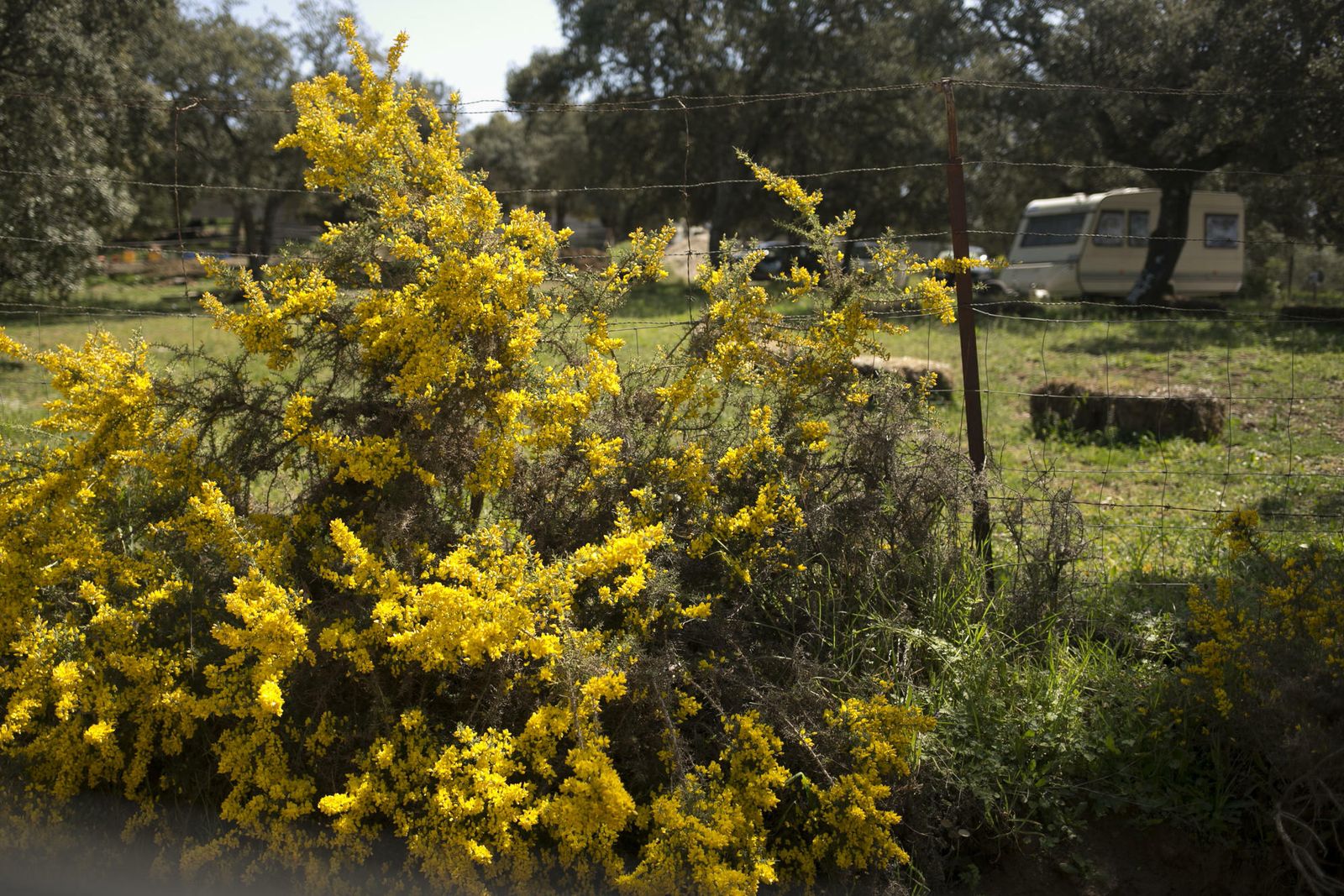 La primavera deja ver su paleta de color