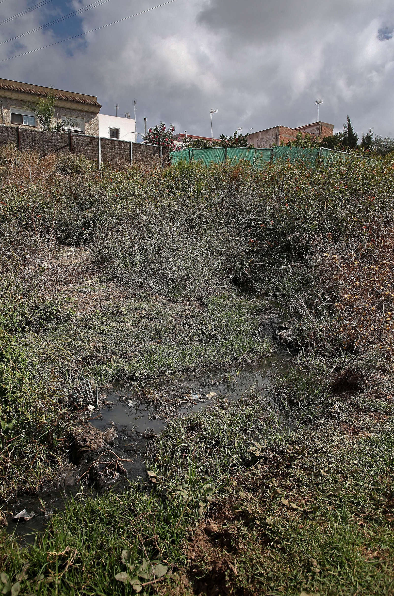 Imágenes de los nuevos cadáveres de caballos en el muladar ilegal de Pajarete en Algeciras