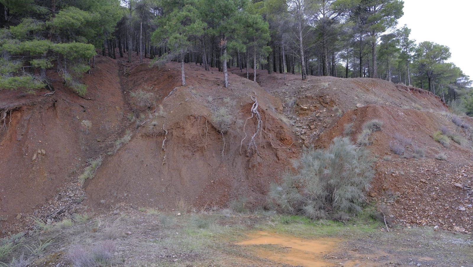 Imágenes del temporal de nieve en la provincia de Almería.