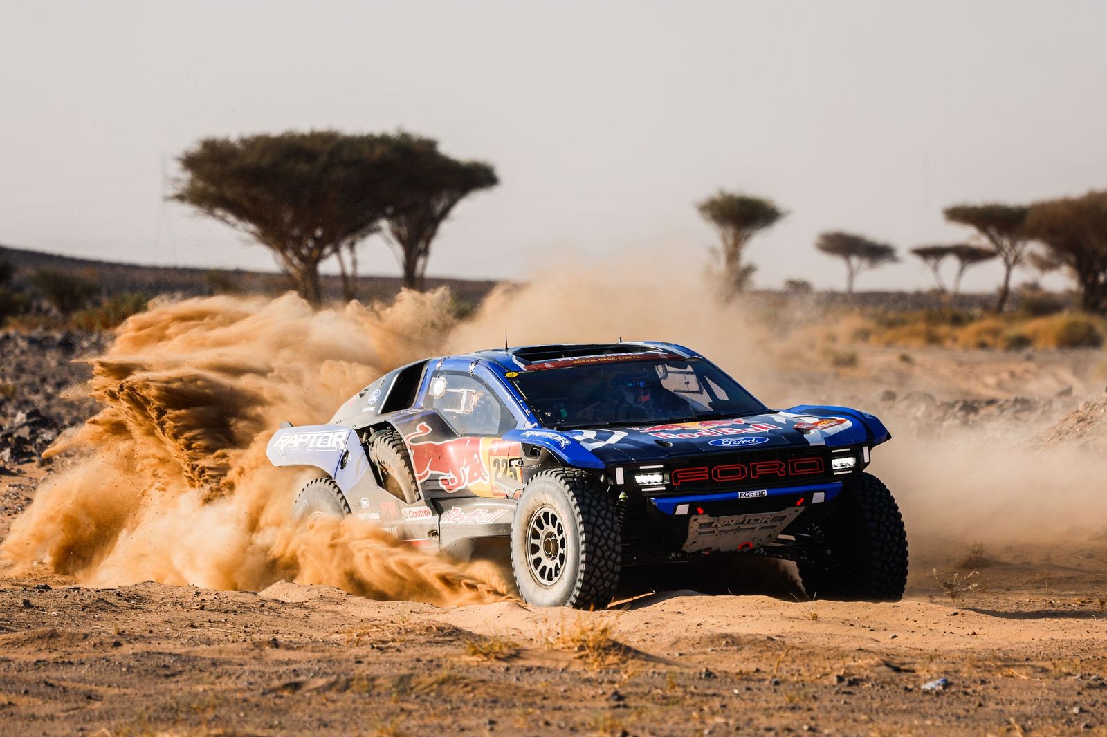 Las mejores fotos del Rally Dakar | Novena etapa