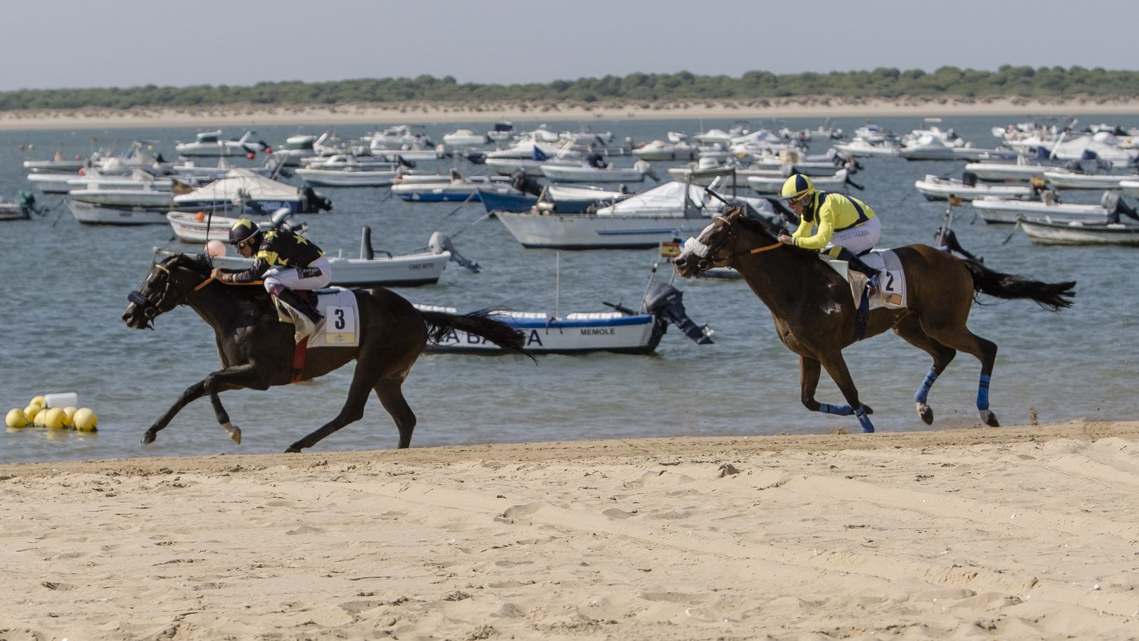 Las carreras de caballos en Sanlúcar en imágenes.