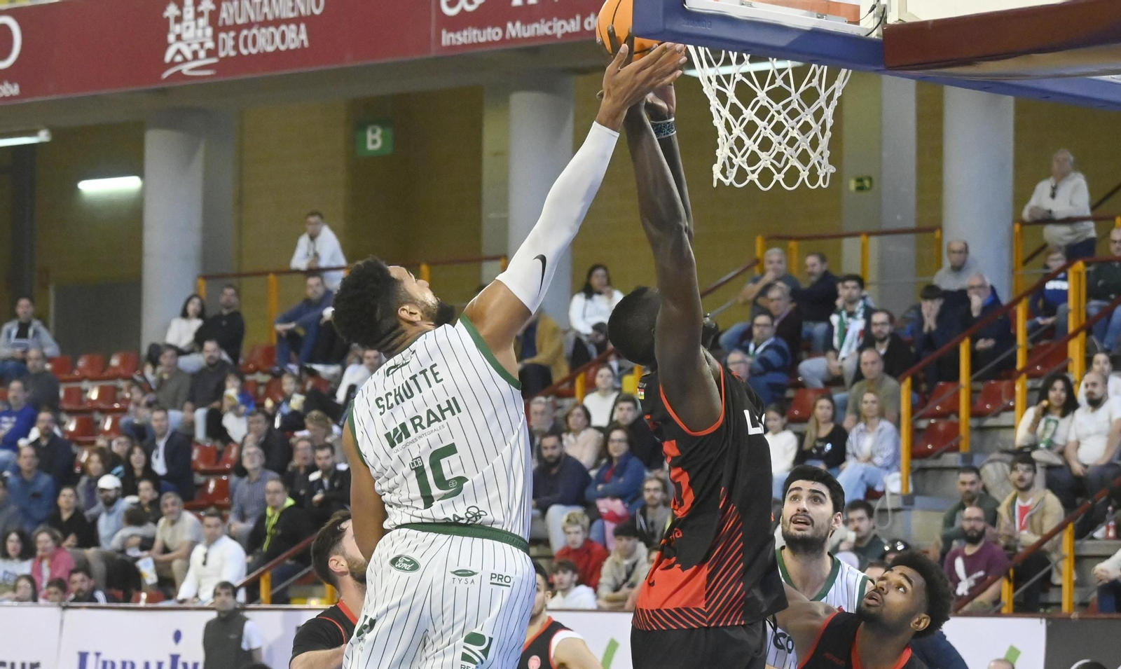 Las mejores fotos del ambiente en Vista Alegre para el Coto Córdoba - Logrobasket