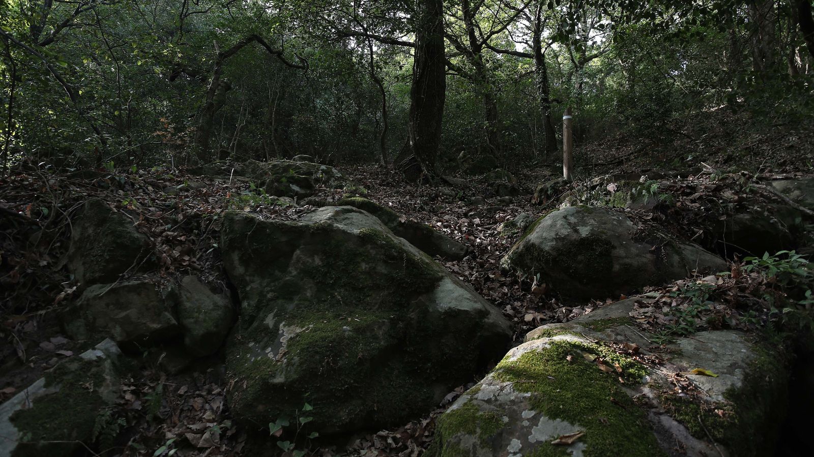 Las mejores fotos de San Carlos del Tiradero