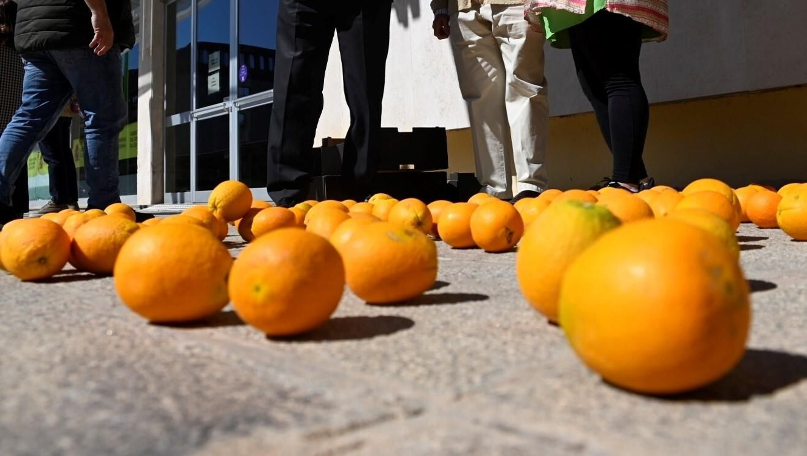 El reparto de naranjas en Córdoba en protesta por la situación del campo, en imágenes El reparto de naranjas en Córdoba en protesta por la situación del campo, en imágenes