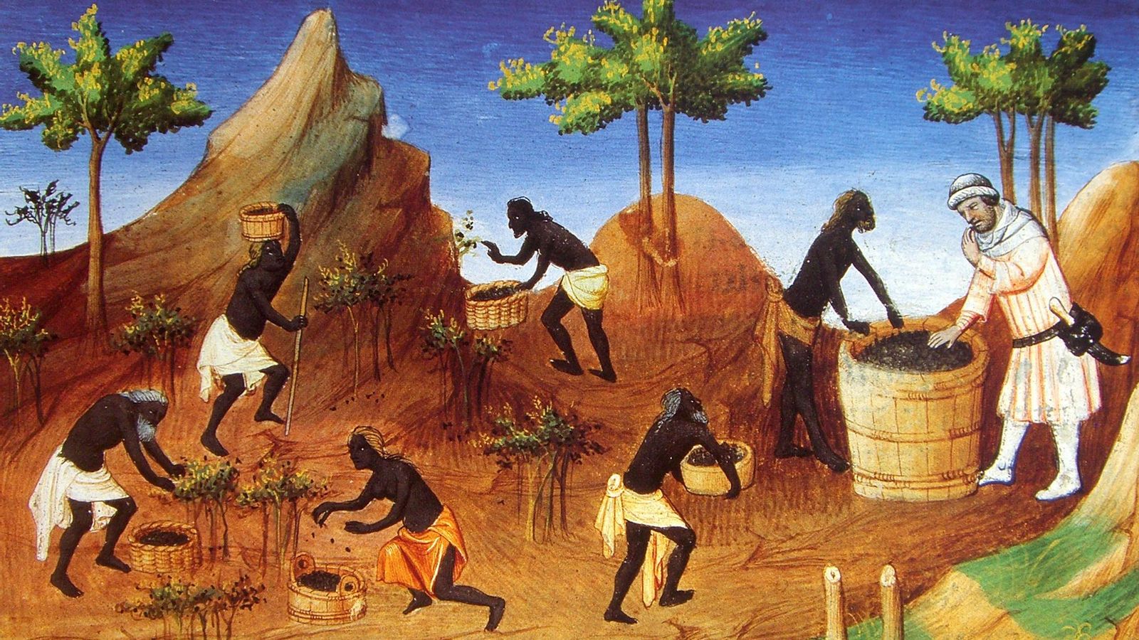 Las preciadas especias de las Indias