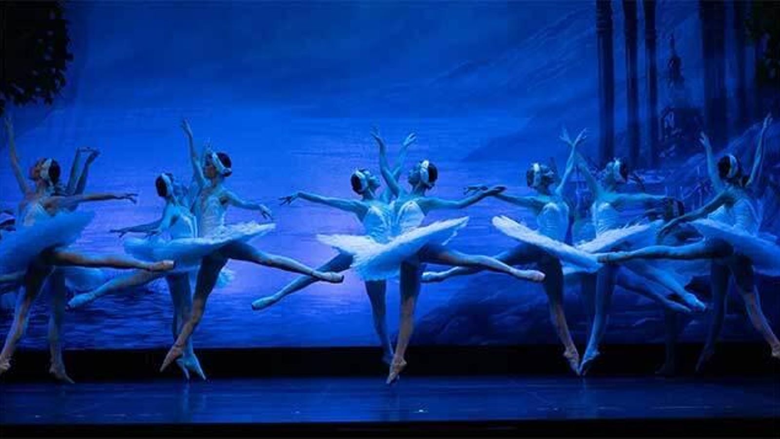 'El lago de los cisnes'.