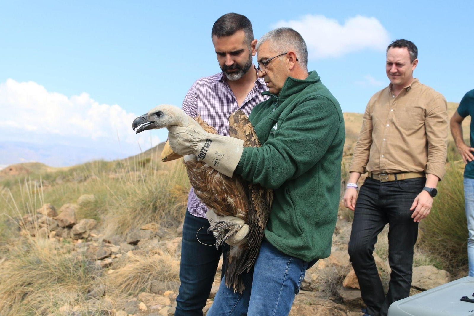 El consejero de Medio Ambiente, Ramón Fernández-Pacheco, junto a un técnico de la consejería, durante la suelta del buitre leonado este lunes en Almería El consejero de Medio Ambiente, Ramón Fernández-Pacheco, junto a un técnico de la consejería, durante la suelta del buitre leonado este lunes en Almería
