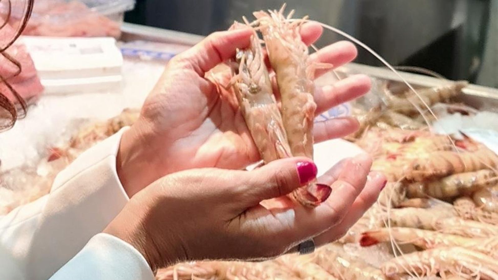 Langostino hembra y macho