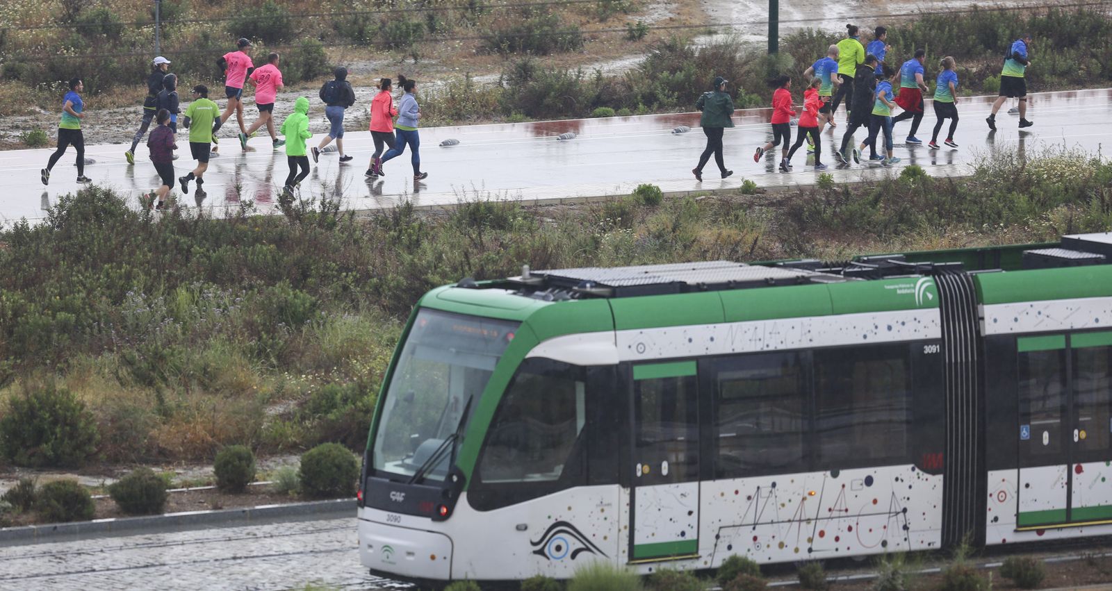 Las fotos de la Carrera Popular We Are Ready Universidad de Málaga