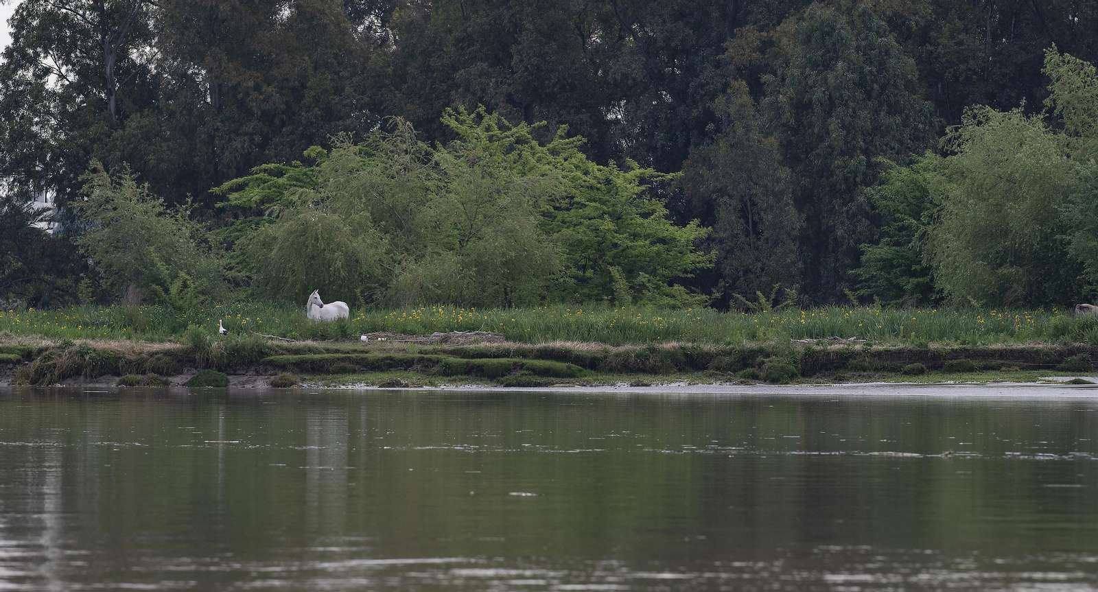 Travesía en barco por el Guadalquivir