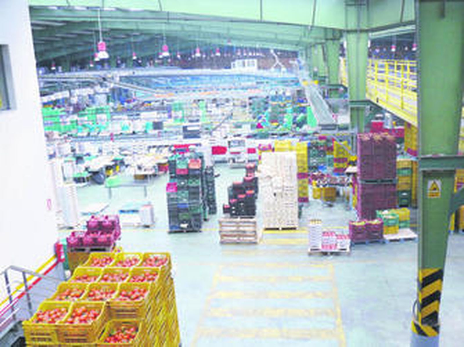 Intalaciones de Agroiris en El Ejido.